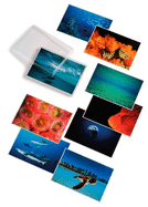 Water Light Time Postcards