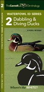 Waterfowl Id Series: 2 Dabbling & Diving Ducks