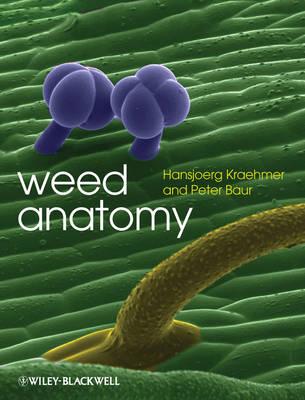 Weed Anatomy - Kraehmer, Hansjoerg, and Baur, Peter