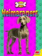 Weimaraners