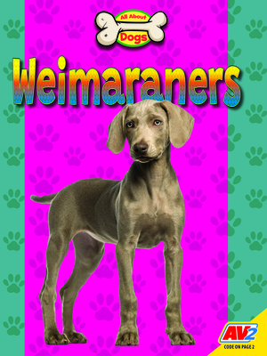 Weimaraners - Kissock, Heather