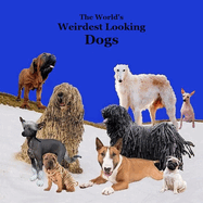 Weirdest Looking Dogs in the World Kids Book: Great Way for Children to Meet the World's Weirdest Looking Dogs
