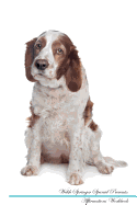 Welsh Springer Spaniel Affirmations Workbook Welsh Springer Spaniel Presents: Positive and Loving Affirmations Workbook. Includes: Mentoring Questions, Guidance, Supporting You.