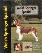 Welsh springer spaniel
