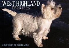 West Highland Terriers Postcard Book