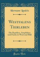 Westfalens Tierleben: Die Reptilien, Amphibien Und Fische in Wort Und Bild (Classic Reprint)