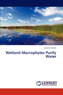 Wetland Macrophytes Purify Water