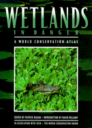 Wetlands in Danger: A World Conservation Atlas