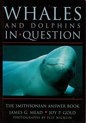 Whales and Dolphins in Question: Whales and Dolphins in Question - Mead, James G, and Gold, Joy P