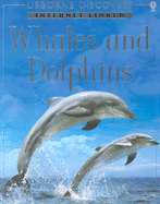 Whales and Dolphins