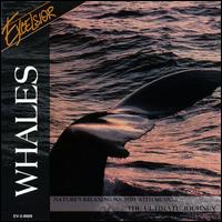 Whales [Excelsior] - Various Artists