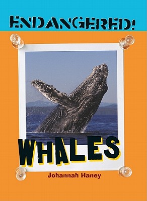 Whales - Haney, Johannah