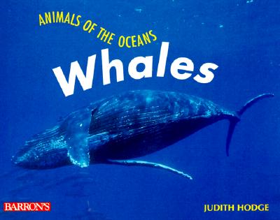 Whales - Hodge, Judith