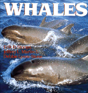 Whales - Stoops, Erik Daniel, and Stone, Debbie Lynne, and Martin, Jeffrey L
