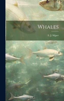 Whales - Slijper, E J (Everhard Johannes) 1 (Creator)