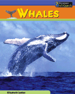 Whales - Laskey, Elizabeth