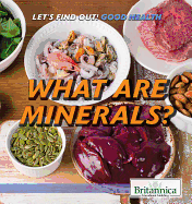 What Are Minerals?