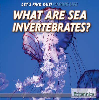 What Are Sea Invertebrates? - Quinlan, Julia J