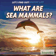 What Are Sea Mammals?