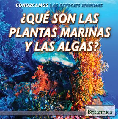 What Are Sea Plants and Algae? - Steinberg, Lynnae D
