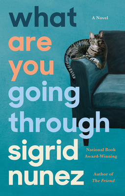 What Are You Going Through - Nunez, Sigrid