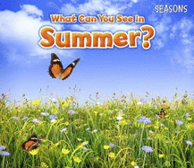 What Can You See In Summer?