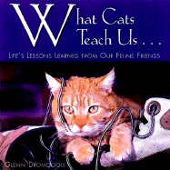 What Cats Teach Us: Life's Lessons Learned from Our Feline Friends