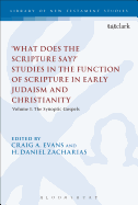 What Does the Scripture Say?' Studies in the Function of Scripture in Early Judaism and Christianity: Volume 1: The Synoptic Gospels