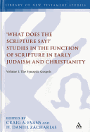 What Does the Scripture Say?' Studies in the Function of Scripture in Early Judaism and Christianity: Volume 1: The Synoptic Gospels