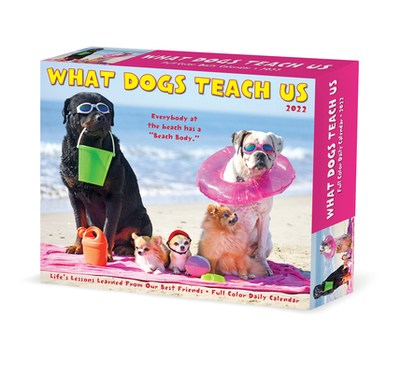 What Dogs Teach Us 2022 Box Calendar, Daily Desktop - Willow Creek Press