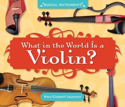 What in the World Is a Violin? - Salzmann, Mary Elizabeth