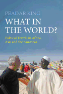 What in the World?: Political Travels in Africa, Asia and the Americas