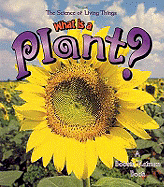 What Is a Plant?