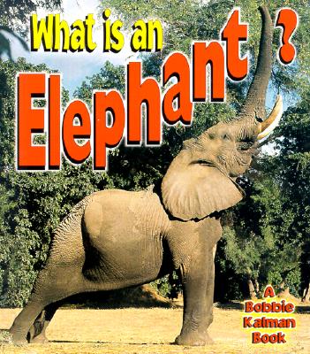 What is an Elephant? - Crossingham, John