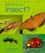 What Is an Insect?