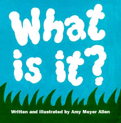 What Is It? - Allen, Amy Meyer