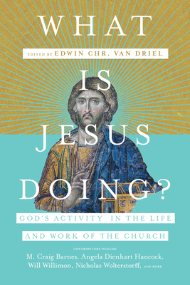 What Is Jesus Doing?: God's Activity in the Life and Work of the Church - Van Driel, Edwin Chr (Editor)