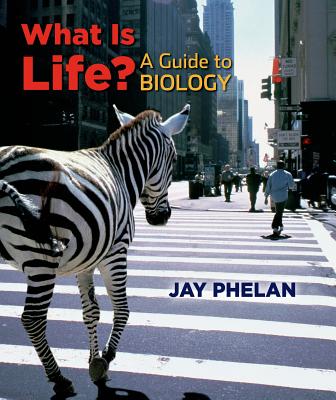 What Is Life - Phelan, Jay, Ph.D.