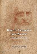 What Is Nietzsche's Zarathustra?: A Philosophical Confrontation