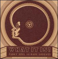 What It is! Funky Soul and Rare Grooves: 1967-1977 - Various Artists