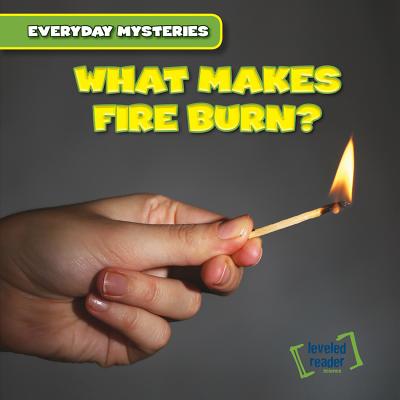 What Makes Fire Burn? - Laplante, Walter