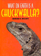 What on Earth is a Chuckwalla - Ricciuti, Edward R