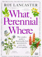 What Perennial Where?