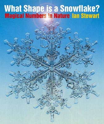 What Shape is a Snowflake? - Stewart, Ian