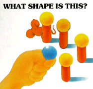 What Shape is This?