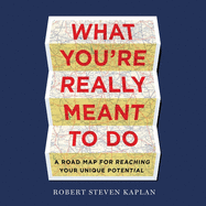What You're Really Meant to Do: A Road Map for Reaching Your Unique Potential