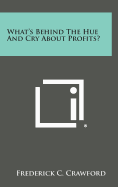 What's Behind the Hue and Cry about Profits?