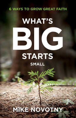 What's Big Starts Small - Novotny, Mike