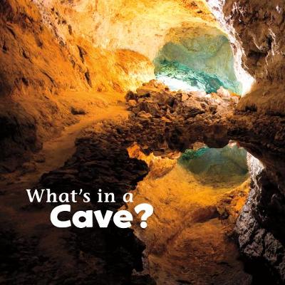 What's in a Cave? - Rustad, Martha E. H.