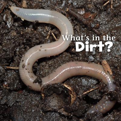 Whats in the Dirt? - Rustad, Martha E H